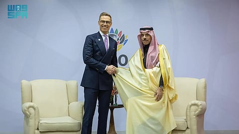 وزير الخارجية يلتقي رئيس فنلندا على هامش قمة العشرين