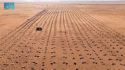 "واحة الغد".. مبادرة لزراعة 20 ألف شتلة محلية بمحمية الملك عبدالعزيز