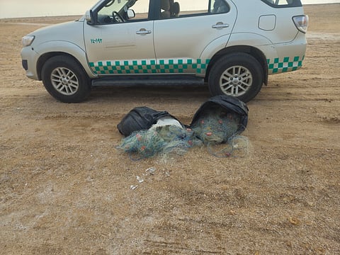 ‏بالصور .. بيئة رابغ تضبط مخالفين لنظام صيد الأسماك وتؤكد استمرار حملات الرقابة البحرية