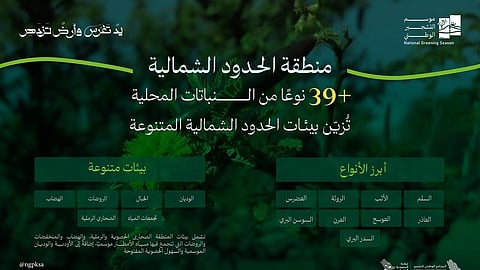 البرنامج الوطني للتشجير: بيئات الحدود الشمالية تزدهر بانتشار39 نوعًا من النباتات المحلية الملائمة للتشجير