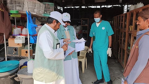 "بيئة جدة" تنفذ جولة رقابية بسوق الأنعام لتعزيز الصحة العامة بالتعاون مع "وقاء"