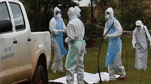 "الصحة العالمية": 8 وفيات و12 إصابة بحمى ماربورغ في إثيوبيا منذ منتصف نوفمبر