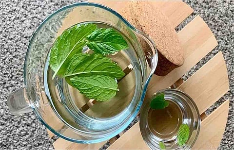 اختصاصي عقاقير طبية يعدد فوائد النعناع واستخداماته العلاجية.. تعرّف عليها