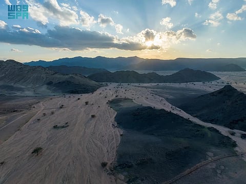 "الغطاء النباتي" يطرح 3 فرص استثمارية بيئية في البيضاء بالمدينة