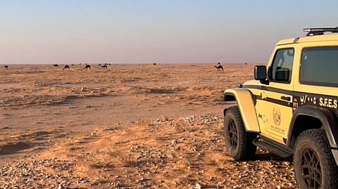 "الأمن البيئي" يضبط 3 مخالفات بيئية تشمل رعي الإبل والصيد الجائر وإشعال النار في المحميات