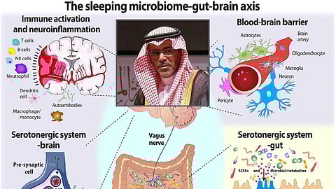 "استشاري": النوم الجيد يبدأ من الأمعاء لا من الدماغ