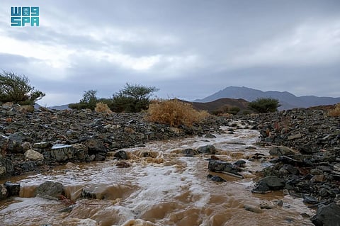 استمرار هطول الأمطار على تبوك ومحافظاتها