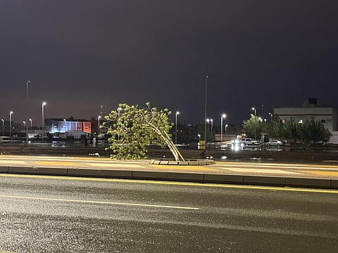 عاصفة ممطرة تضرب ينبع وتتسبب في أضرار متفرقة واستنفار للجهات المعنية