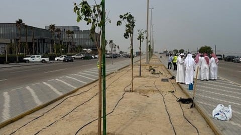 "سبق" تغرس أولى الشجرات في كورنيش الخبر دعمًا لمبادرة السعودية الخضراء وجودة الحياة