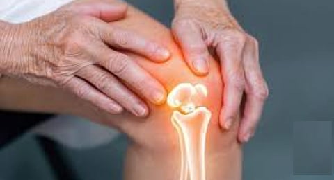 من أجل عظام قوية.. خبيرة تغذية:  5 نصائح للحفاظ على كثافة العظام ومنع الكسور