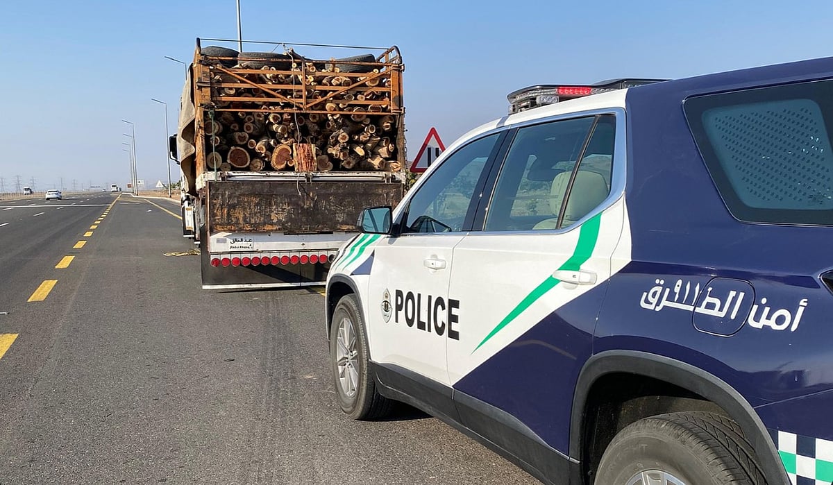 ضبط مخالف لنظام البيئة بحوزته حطب محلي في المدينة المنورة
