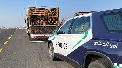 ضبط مخالف لنظام البيئة بحوزته حطب محلي في المدينة المنورة