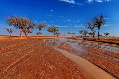 "قد تطول في بعض المناطق".. "المسند" يلمّح إلى تمديد الإجازة المطوّلة مع تقلبات جوية وأمطار متوقعة