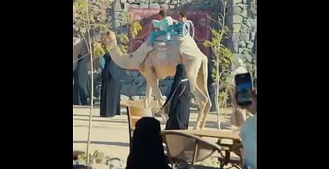 من زيارة أمير المدينة إلى واجهة سياحية.. "جبل أُحد" يتحول إلى نموذج لتطوير المواقع التاريخية