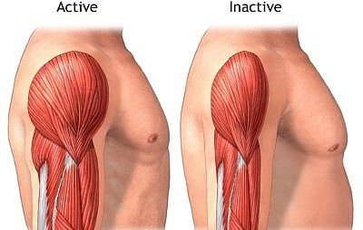 استشاري: المعجنات ترفع السكر رغم الإنسولين وتحسّن البنكرياس ممكن. المعجنات ترفع السكر حتى مع الإنسولين. نمط الحياة أساس علاج السكري. تمارين المقاومة تحسّن النتائج. قصص نجاح بعد سنوات طويلة. تحسّن البنكرياس ممكن بالالتزام 