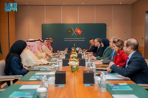 وزير الصناعة يبحث تعزيز التكامل الاقتصادي والصناعي مع تونس