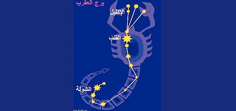 "الحصيني": الجمعة بداية "الشولة".. آخر نجوم المربعانية وبداية برودة شديدة وزراعة شتوية