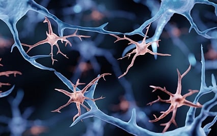 دراسة أمريكية: الخلايا المناعية تفسّر ارتفاع إصابات الزهايمر بين النساء