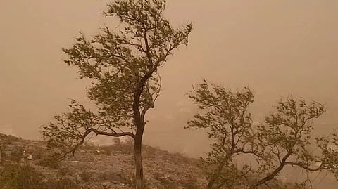 الأرصاد: استمرار تأثير الرياح النشطة المثيرة للأتربة والغبار على الرياض والحدود الشمالية والجوف وتبوك