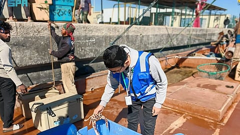 "بيئة الشرقية" تُطلق حملة رقابية على 12 مرفأ صيد لتعزيز الامتثال وحماية الثروة السمكية