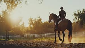 الدكتور خالد النمر يحذّر: ركوب الخيل مرهق لفقرات الظهر ويُمنع على هذه الفئات