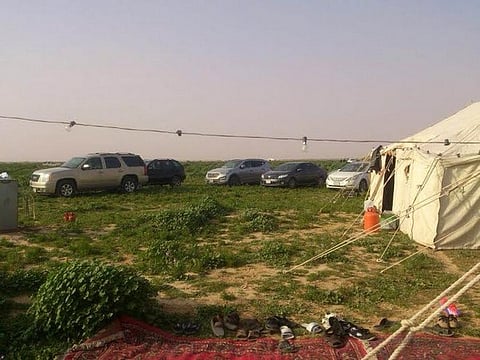 "طلعات البر".. "كشته" ونزهة وتقليد يتجدّد كل جيل