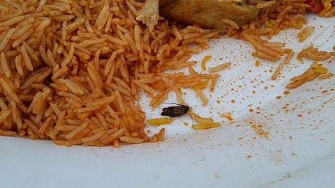  مطعم يقدم وجبة لمواطن داخلها "صرصور" في شقراء