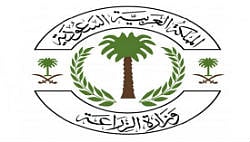 "الزراعة" توافق على استيراد المواشي الحية من باراغواي