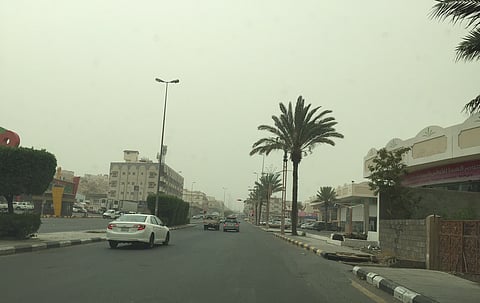 استمرار الغبار على الطائف بكثافة و "حالات ربو" تراجع المستشفيات 