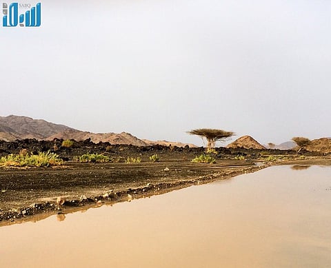 بالصور.. هطول أمطار على قرى محافظة العيص لليوم الثالث