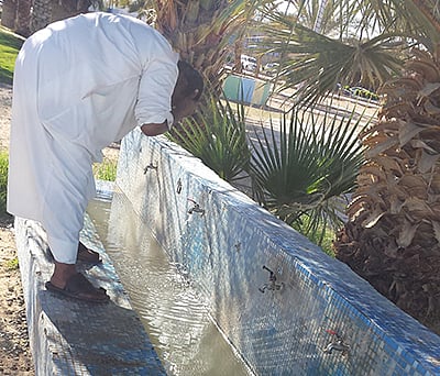 شاهد .. الإهمال وسوء النظافة يشوه منتزه المطار ببيشة