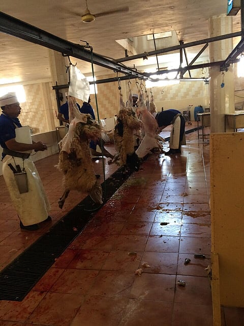 "أمانة الجوف" تلزم المسالخ بأسعار محددة استعداداً لرمضان