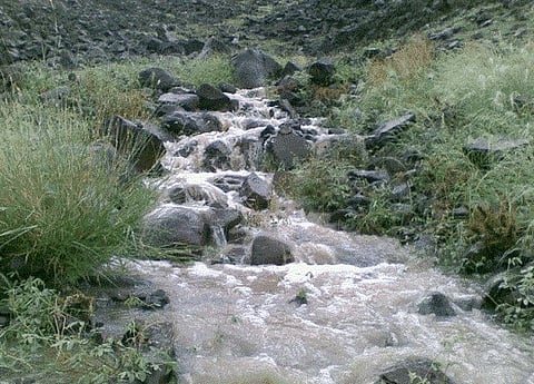 شاهد بالصور أنهار السعودية.. جنان الجزيرة التي تجذب الزوّار والسيّاح