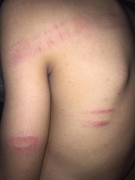 إدارة تعليم مكة: مدرسة الحديث لا تتبعنا 