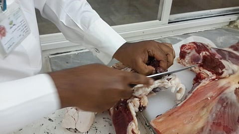 أمانة الطائف تُلزم ملحمة بإرجاع قيمة لحوم فاسدة لمُشترٍ