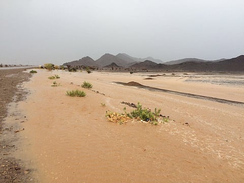شاهد.. الأمطار والسيول على محافظات جنوب المدينة