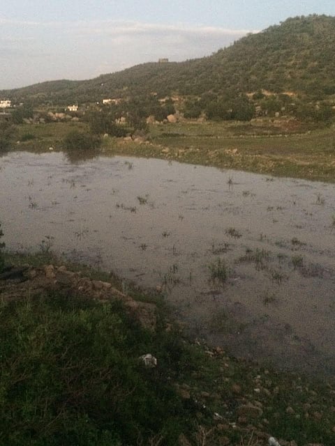 بالصور.. استمرار هطول الأمطار على "بني مالك" بجنوب الطائف