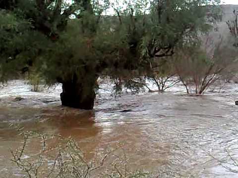 إنقاذ أسرة احتجزتها السيول داخل منزلها بالموية