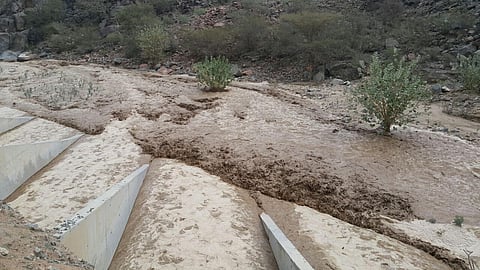 بالفيديو.. غزارة الأمطار يشهدها السيلان "الكبير والصغير" شمال الطائف