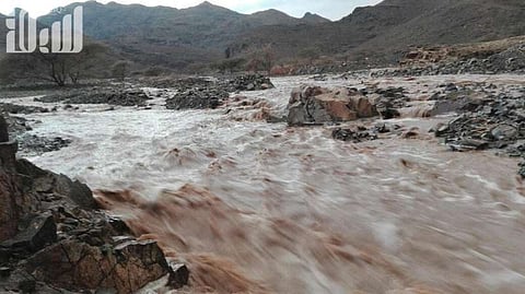 الأهالي: تعليق الدراسة بـ"المدينة" من صلاحية أولياء الأمور بعد صمت المسؤولين