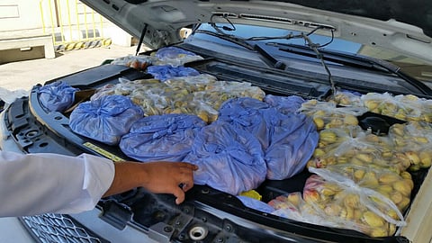 جسر الملك فهد .. إحباط  تهريب 598 كجم من "القورو"