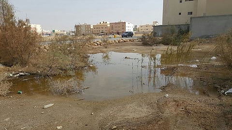 شاهد.. "لبن الرياض" يغرق بالمياه الآسنة بما ينذر بكارثة.. والأهالي: لماذا توقَّف المشروع؟