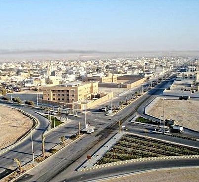 اكتشاف فاكهة "يوسف أفندي" بالحشرات في القريات