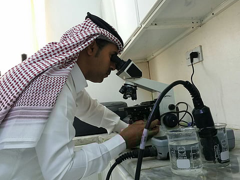 "مياه جازان" تغلق 25 معملاً خاصاً لاحتوائها على عناصر سامة