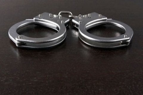 المدينة.. ضبط 623 ألف حبة كبتاجون مهربة داخل  شاحنة نقل أعلاف