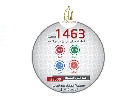 متحدث مزايين الإبل: لا صحة لما تم تداوله حول نتائج تسجيل الملاك