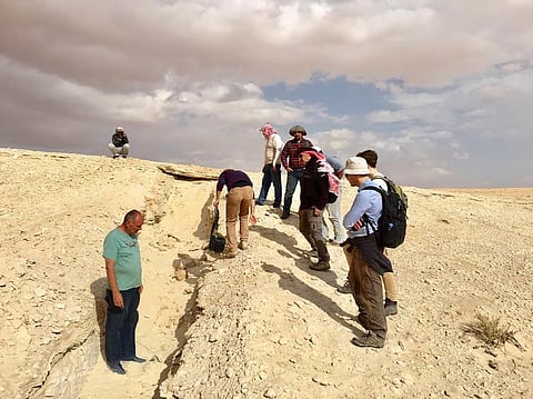 "المساحة الجيولوجية": اكتشافات جديدة لأحافير "ثدييات برية" في صحراء النفود