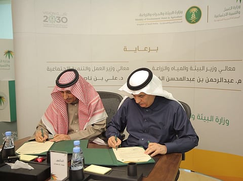 اتفاقية تعاون مشترك لتأهيل الكوادر الوطنية ودعم مستفيدي الضمان الاجتماعي