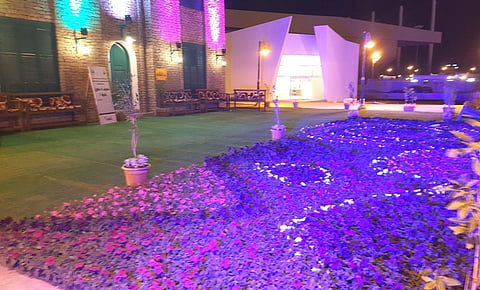 شاهد.. سجادة زهور وفلكلور شعبي في بيت الطائف بالجنادرية