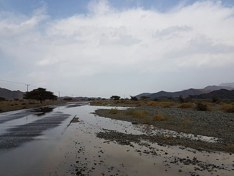 بالصور.. أمطار خفيفة إلى متوسطة على محافظات المدينة المنورة